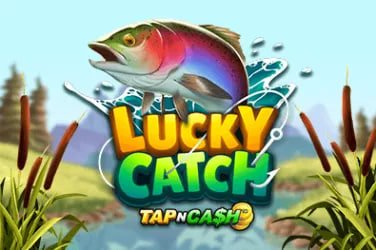 bd223